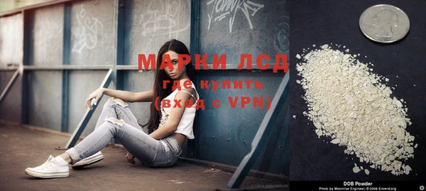 крисы Инта