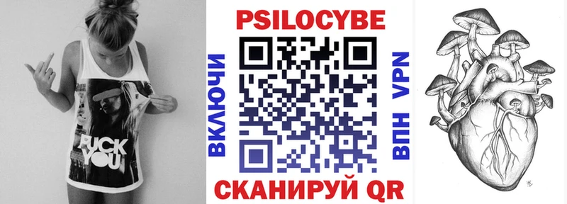 kraken ссылки Демидов Псилоцибиновые грибы MAGIC MUSHROOMS